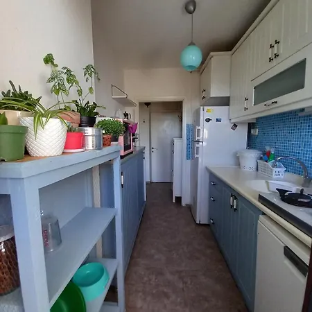House With Bosphorus View, Elevator, Air Conditioning And Parking Daire *