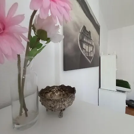 House With Bosphorus View, Elevator, Air Conditioning And Parking Daire