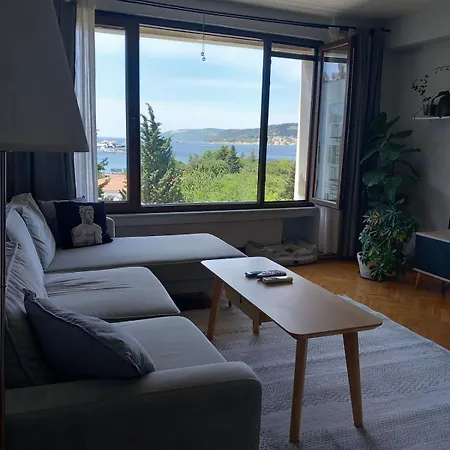 House With Bosphorus View, Elevator, Air Conditioning And Parking Daire *