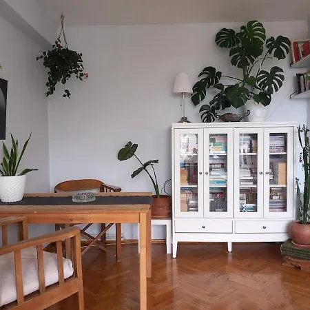 House With Bosphorus View, Elevator, Air Conditioning And Parking Daire *
